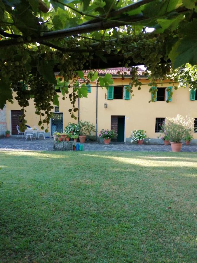 Bed and Breakfast Mugello - Casa Di Campagna Vicchio Exterior foto